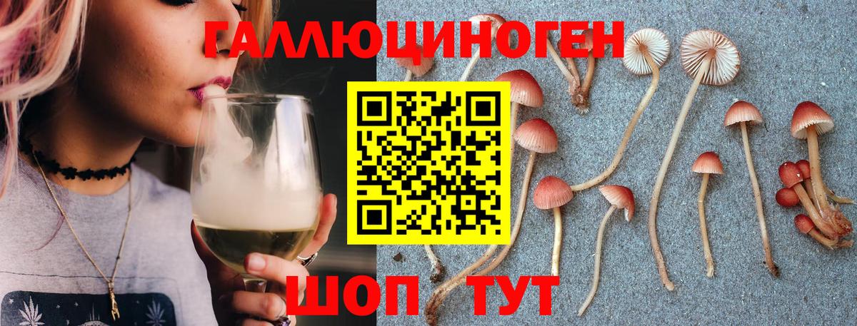 Галлюциногенные грибы Cubensis  Вход с VPN  Псилоцибиновые грибы прущие грибы  Вышний Волочёк 